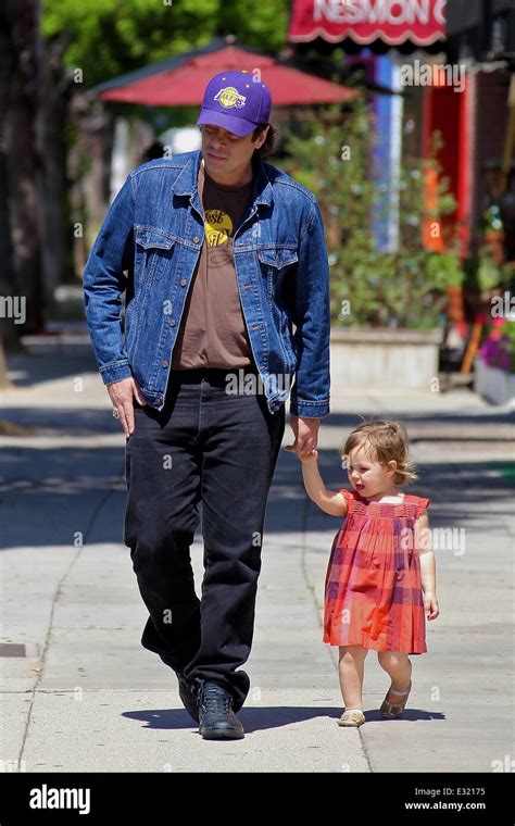 benicio del toro imdb|benicio del toro daughter 2016.